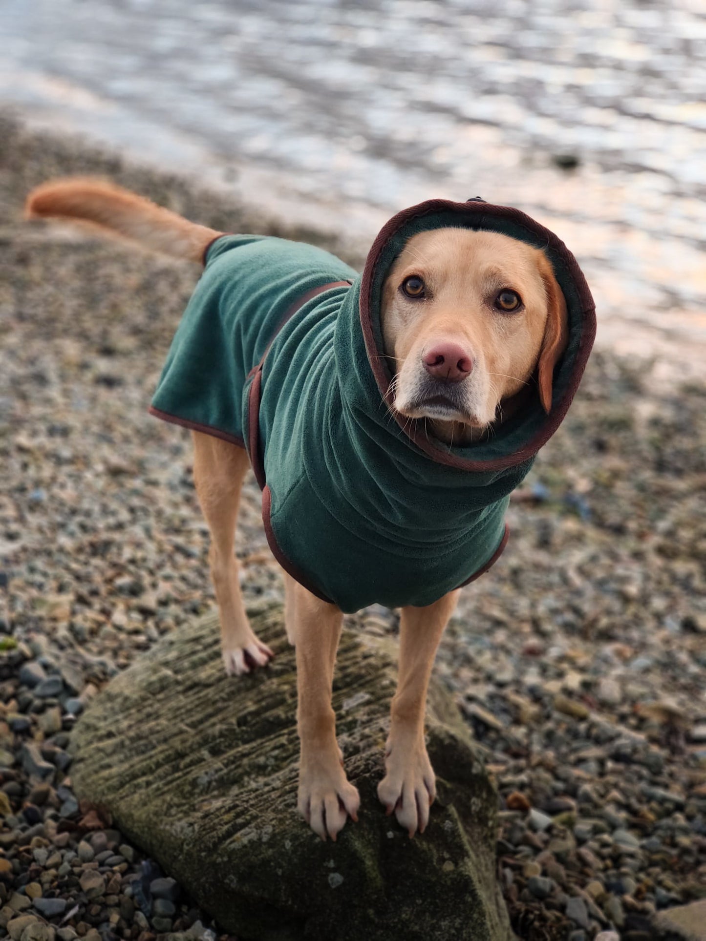 The Summit Drying Robe