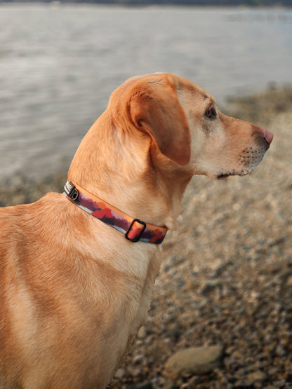 Roam Waterproof Collar