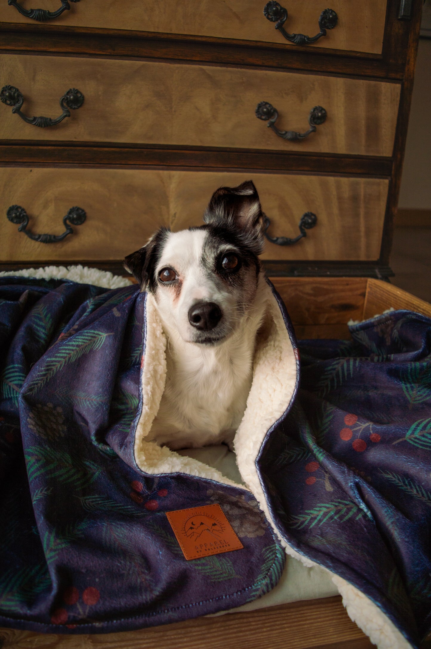 The Cosy Blanket - Winter Walkies