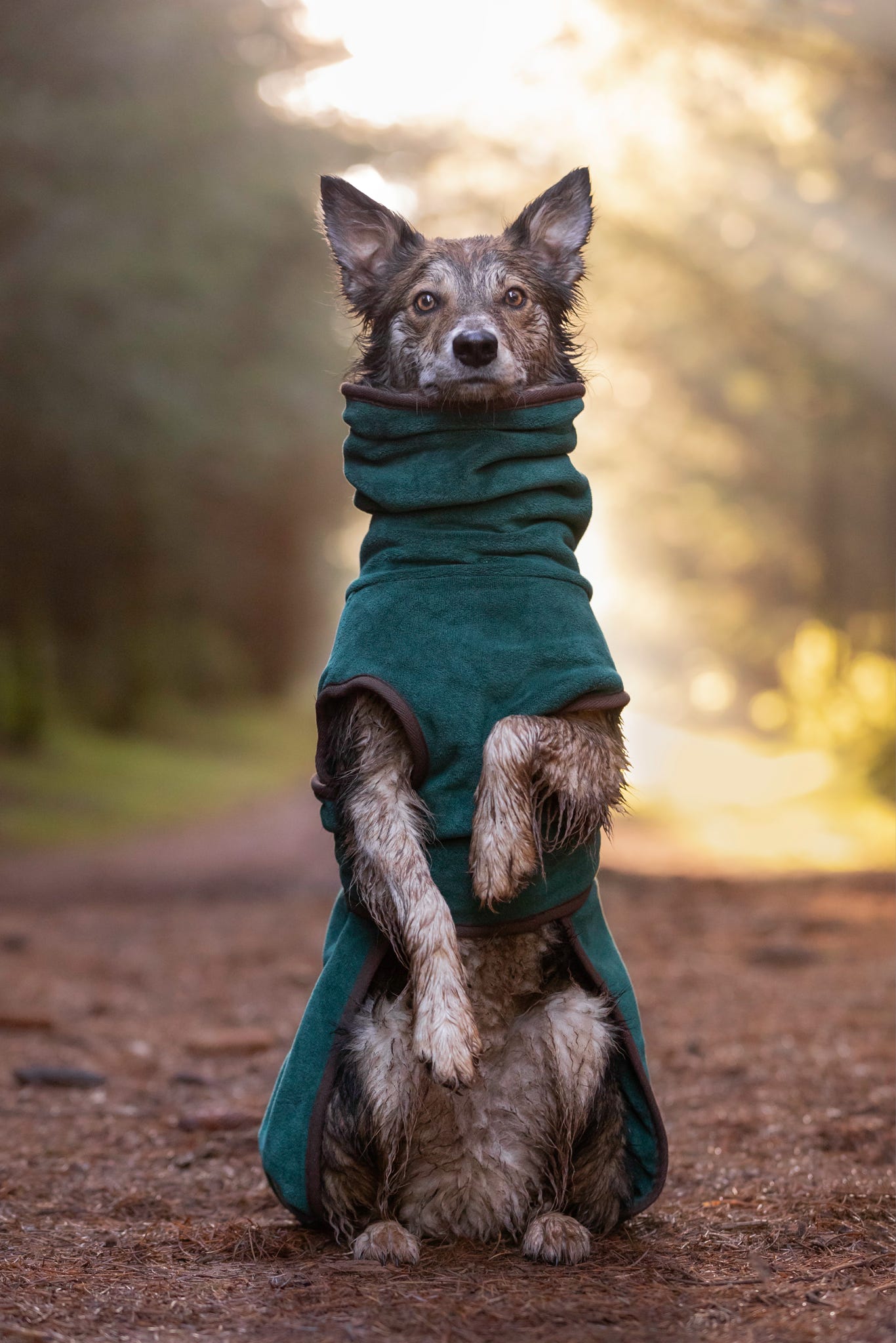 The Summit Drying Robe