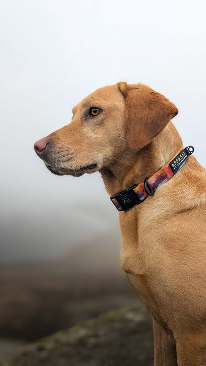 Roam Waterproof Collar