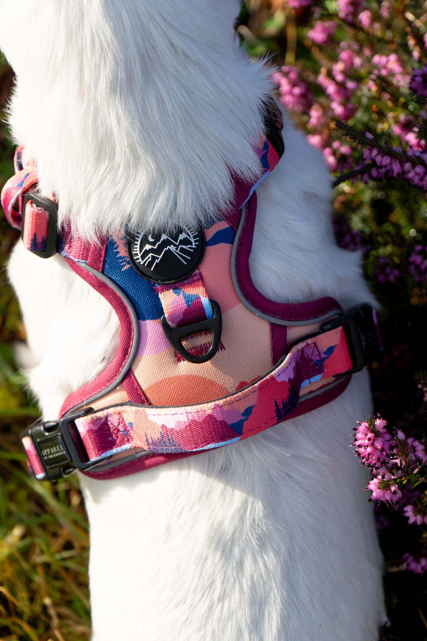 Sedona Skies Harness