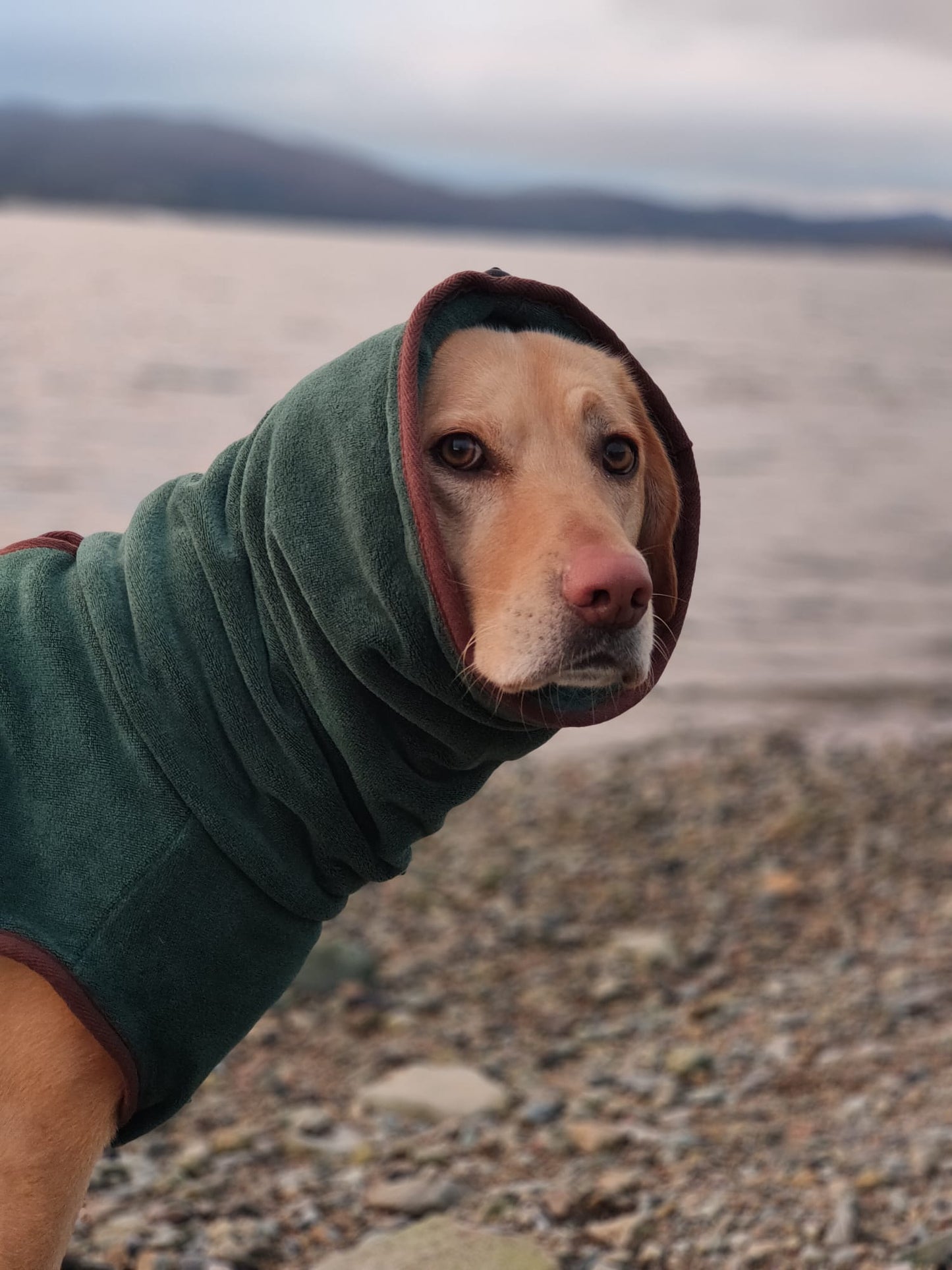 The Summit Drying Robe