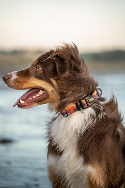 Roam Waterproof Collar