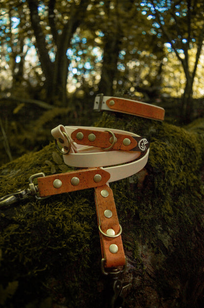 Smores - Cork X Biothane Collar