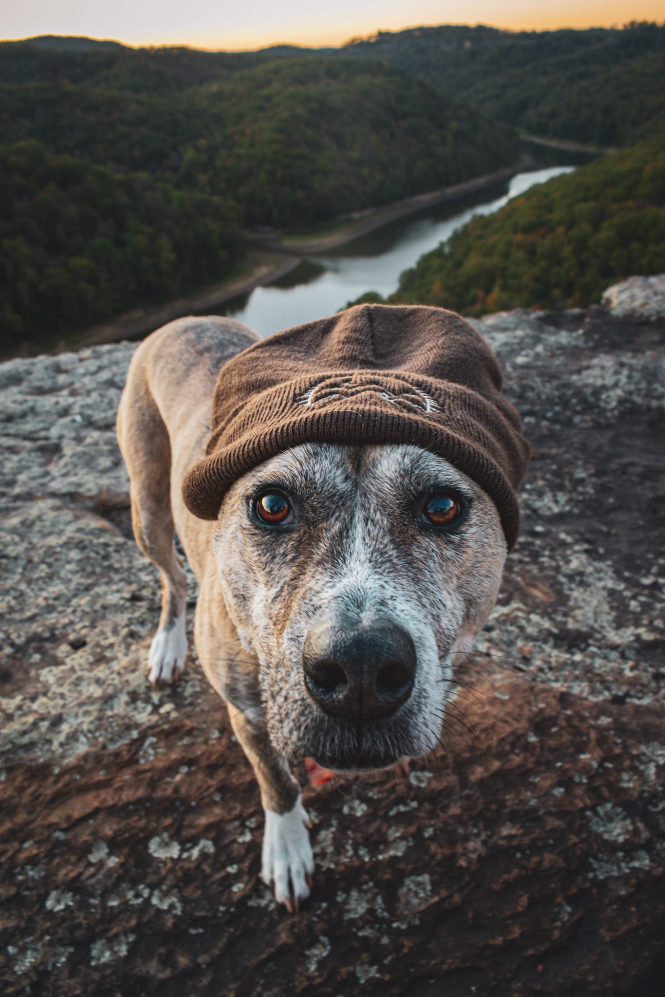 The Cosy Hat