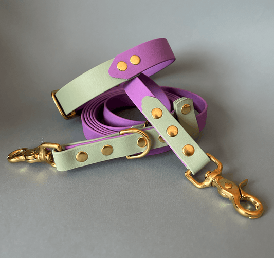Two Toned Collar (rivet connection) - Apparel By Unleashed