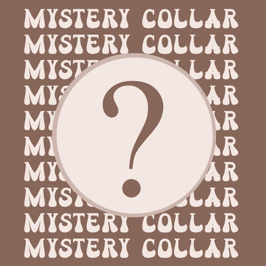 Biothane Mystery Collar - Apparel By Unleashed
